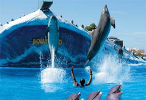 Aqualand