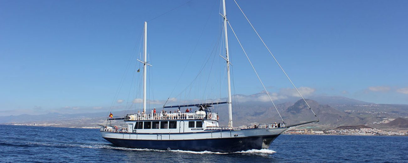 Bahriyeli sailing tenerife top