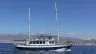 Preview dolphin whales sailing tenerife