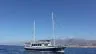 Preview dolphins sailing tenerife