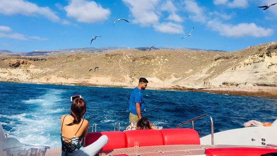 watersports tenerife sailing birds