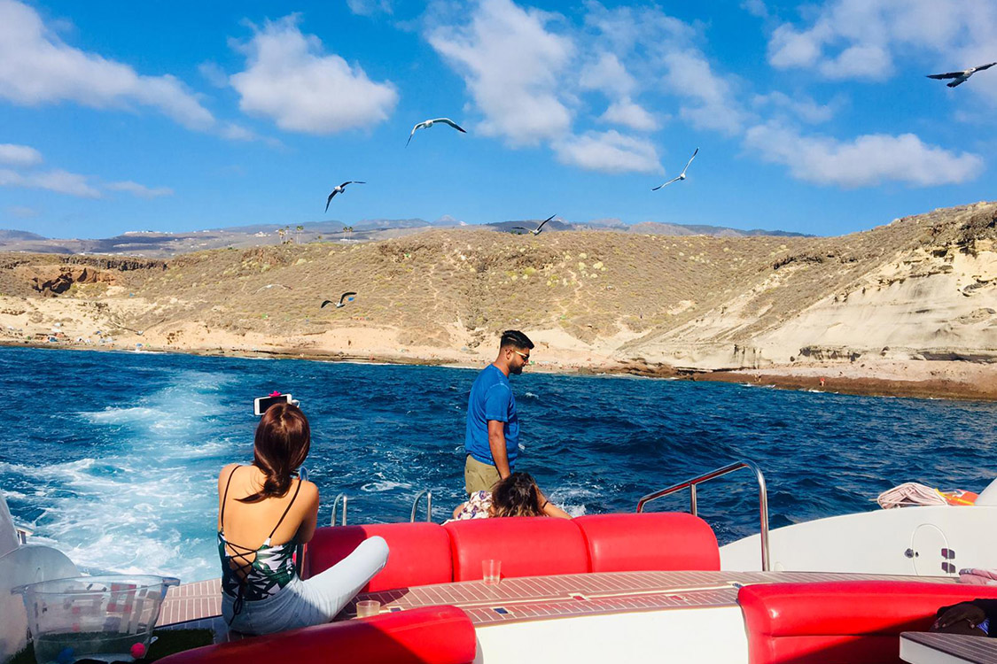 watersports tenerife sailing birds