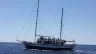 Preview whales dolphin sailing tenerife
